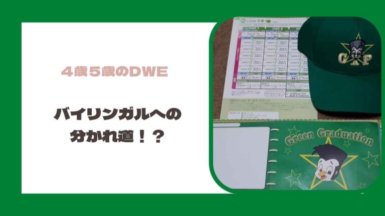 4歳5歳のdweの進め方 バイリンガル育児の成功は幼児期の取り組みで決まる